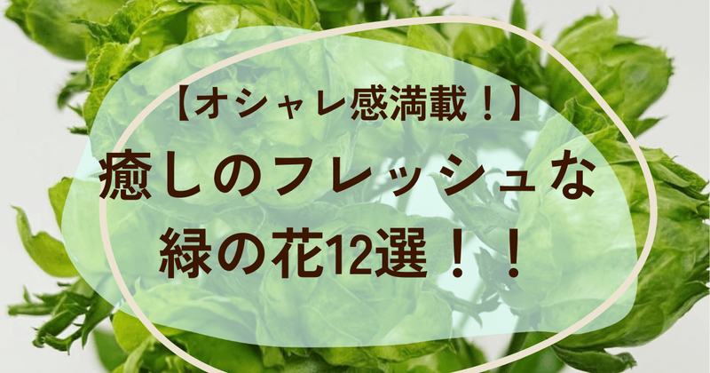 フレッシュな緑の花