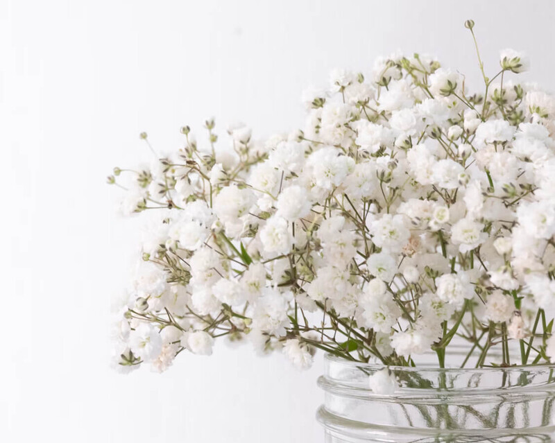 オススメのカスミソウの花束