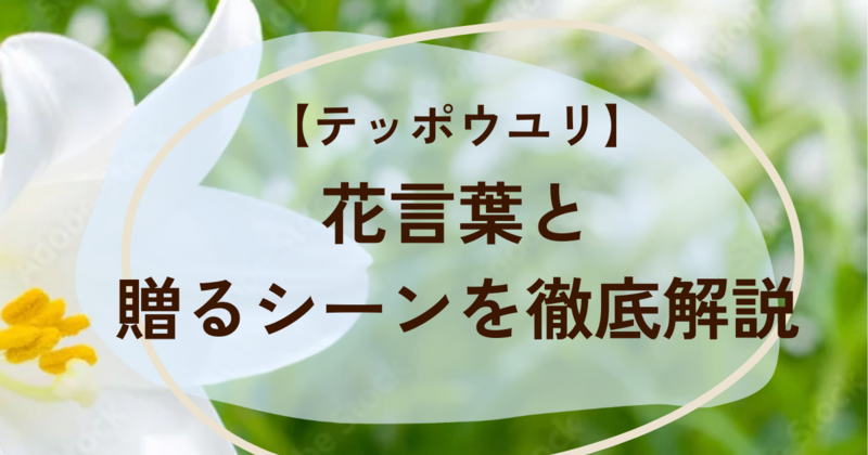 テッポウユリの花言葉とプレゼントシーン