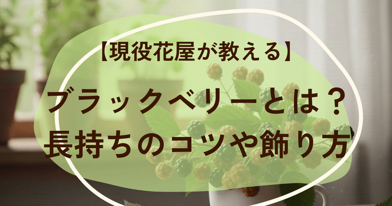 切花ブラックベリーとは?長持ちのコツ、飾り方のコツを紹介