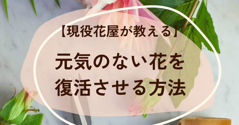 萎れて元気のない花の復活方法