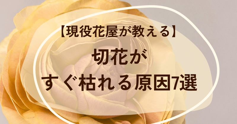 切花がすぐ枯れる原因