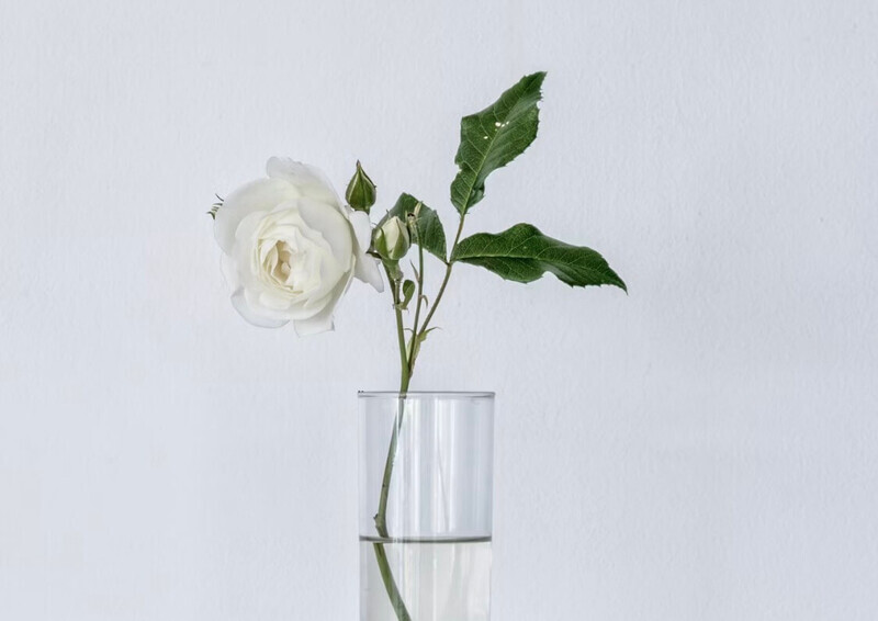 透明な花瓶にバラが飾ってある画像