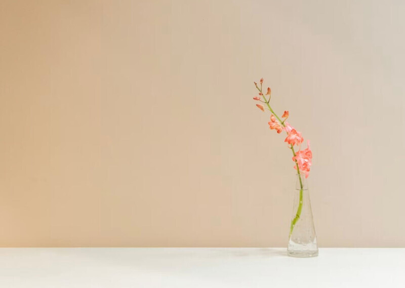 一輪の花が飾ってある画像