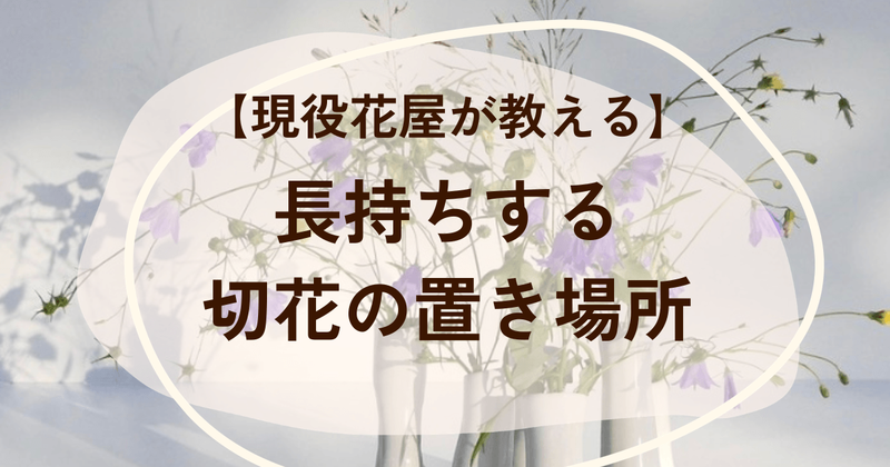 タイトル画像