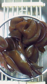 f:id:Sea_Monkey:20120317145856j:image f:id:Sea_Monkey:20120317145856j:image