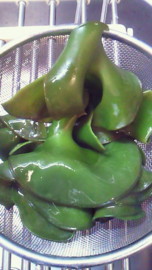 f:id:Sea_Monkey:20120317145947j:image f:id:Sea_Monkey:20120317145947j:image