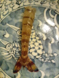 f:id:Sea_Monkey:20120721133348j:image f:id:Sea_Monkey:20120721133348j:image