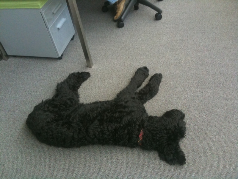 f:id:Sean_SF:20100614110048j:image f:id:Sean_SF:20100614110048j:image