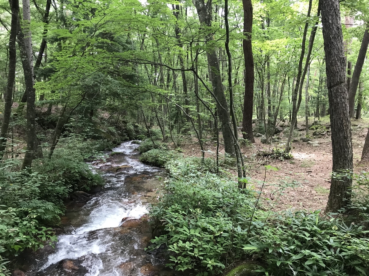 f:id:Sebastian1976:20190815154812j:plain f:id:Sebastian1976:20190815154812j:plain