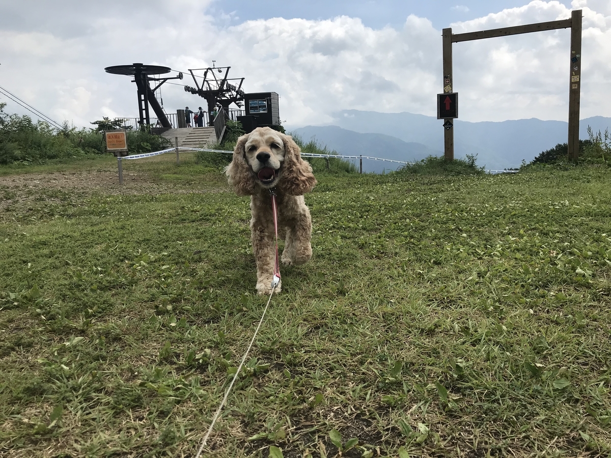 f:id:Sebastian1976:20190817194726j:plain f:id:Sebastian1976:20190817194726j:plain