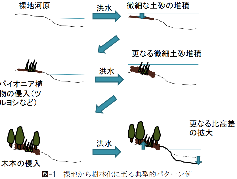 f:id:SedimentHydraulics:20211218130132p:plain