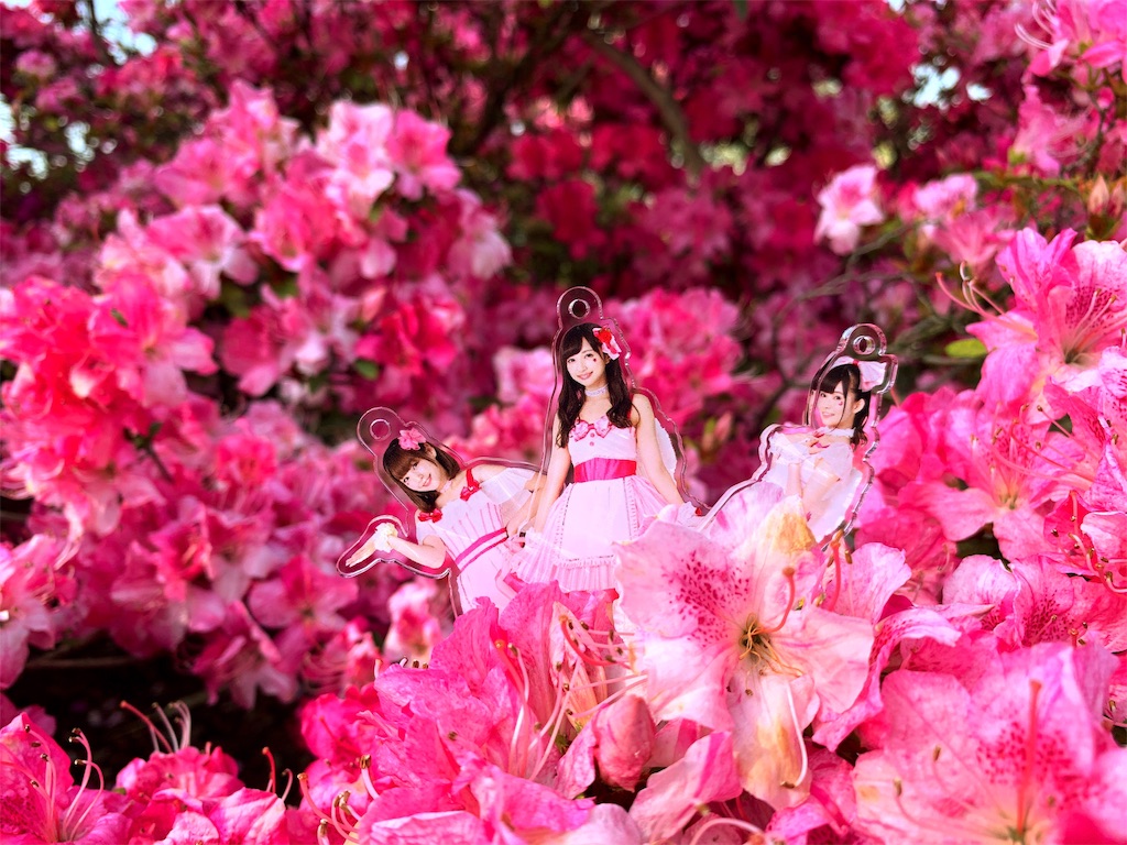 f:id:Segnel:20190530223751j:image f:id:Segnel:20190530223751j:image