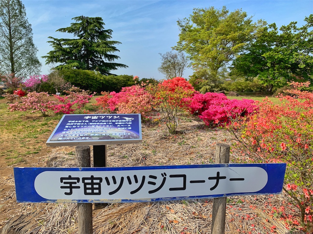 f:id:Segnel:20190530224533j:image f:id:Segnel:20190530224533j:image