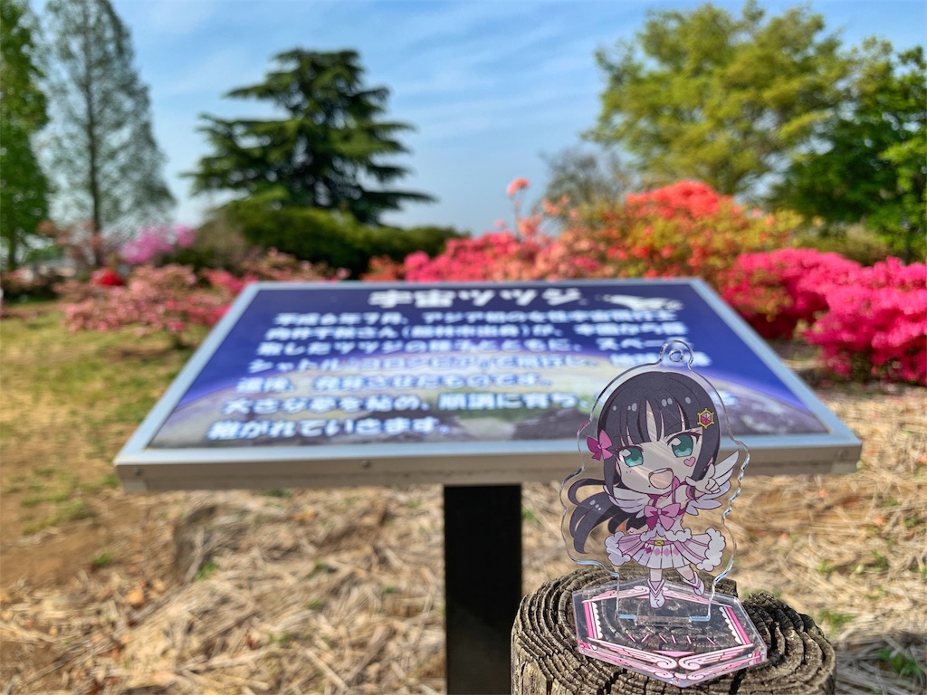 f:id:Segnel:20190530224636j:image f:id:Segnel:20190530224636j:image