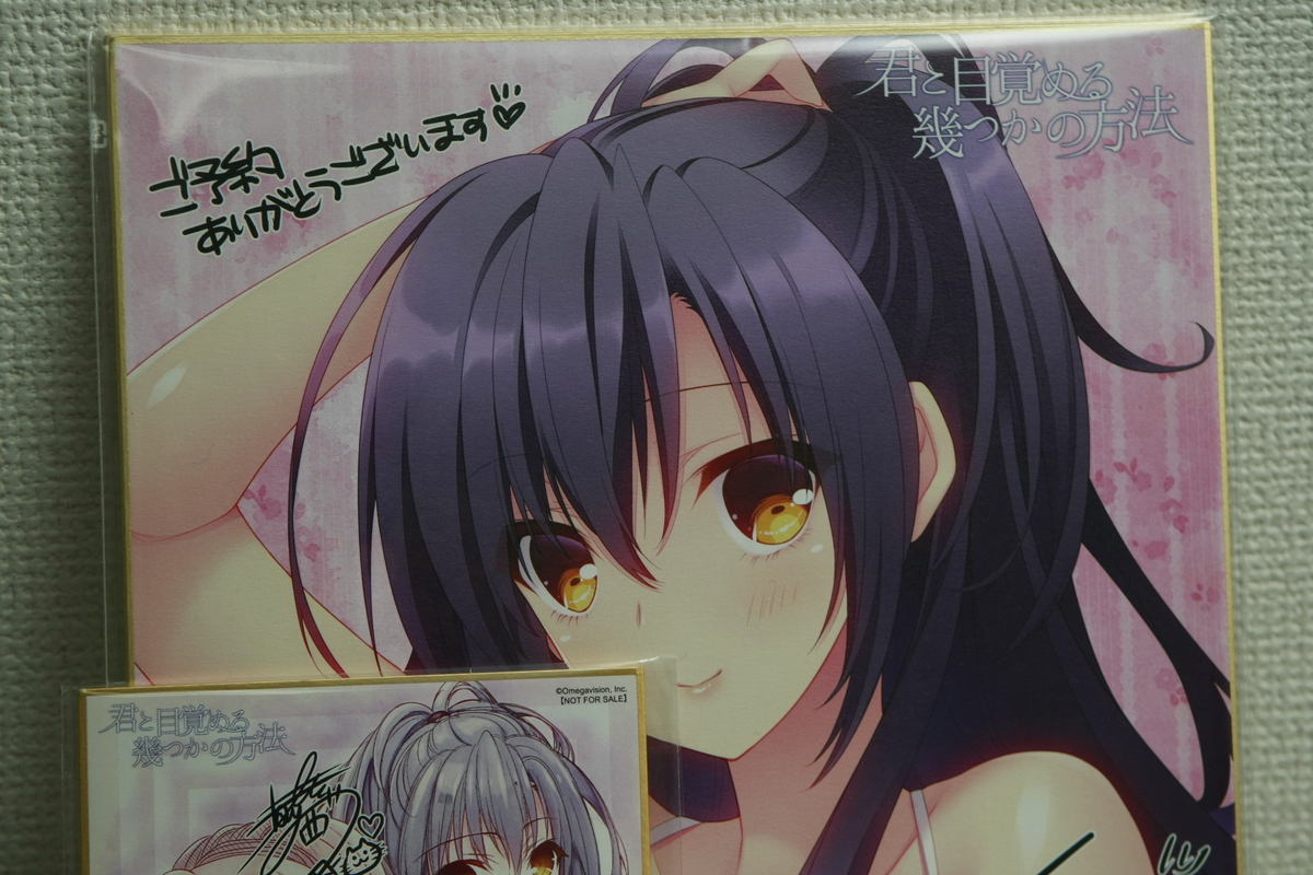 最近エロゲを買う気がもう無い 清楚咲夜の日記