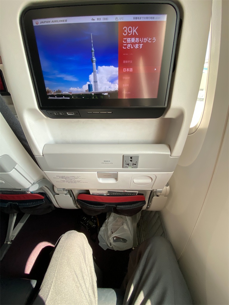 f:id:SeisoSakuya:20200322205510j:image f:id:SeisoSakuya:20200322205510j:image