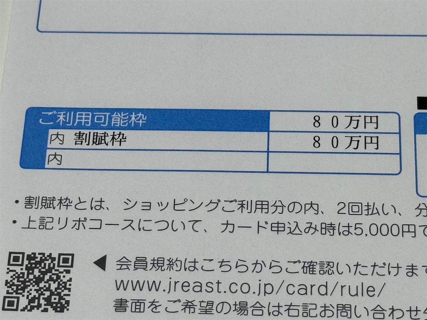 ビックカメラSuicaカードを作りました - 清楚咲夜の日記
