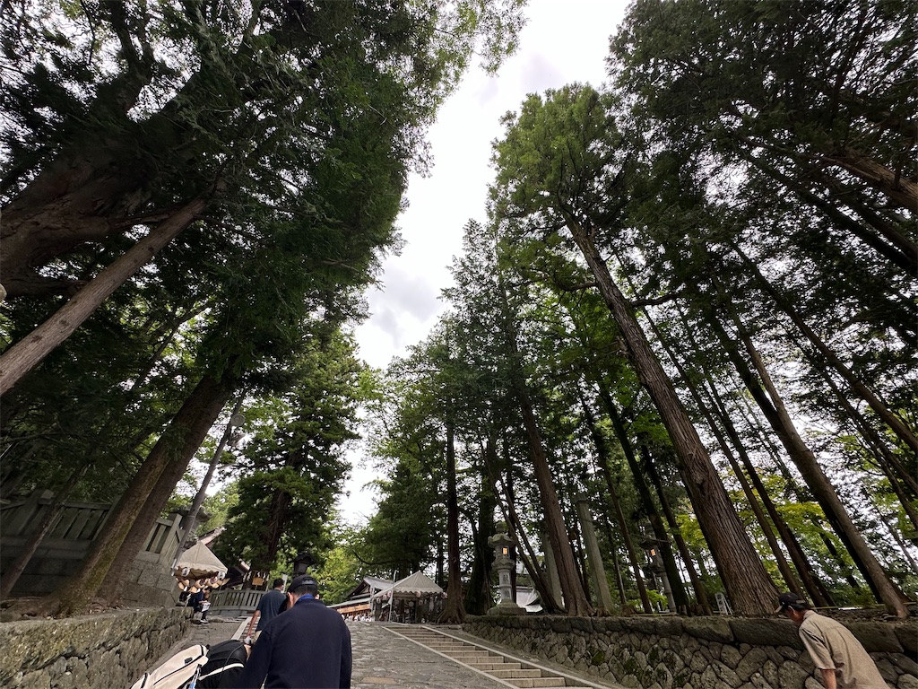 f:id:SeisoSakuya:20240909164508j:image