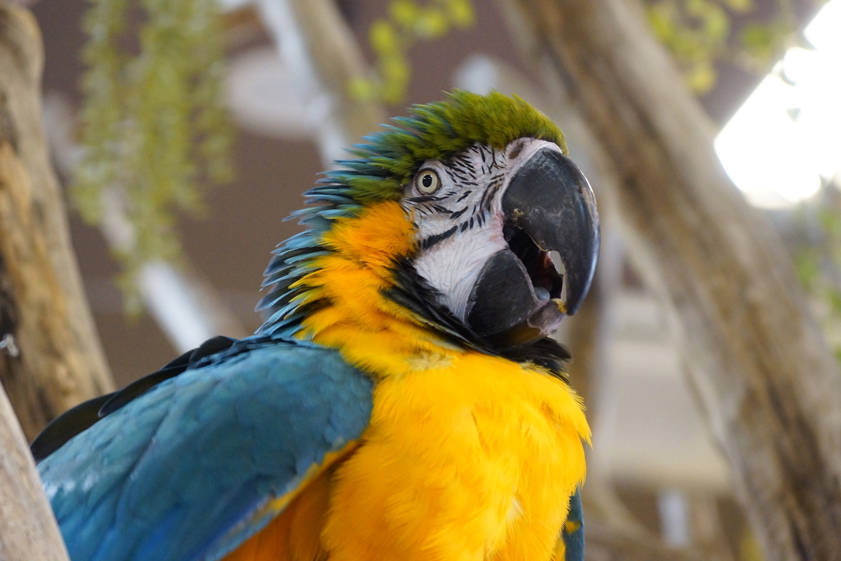 SAL1680Z 作例あり 16-80 DT Vario-Sonnar Vario-Sonnar T＊ DT 16-80mm F3.5-4.5 ZA（SAL1680Z）の作例2 - 清楚