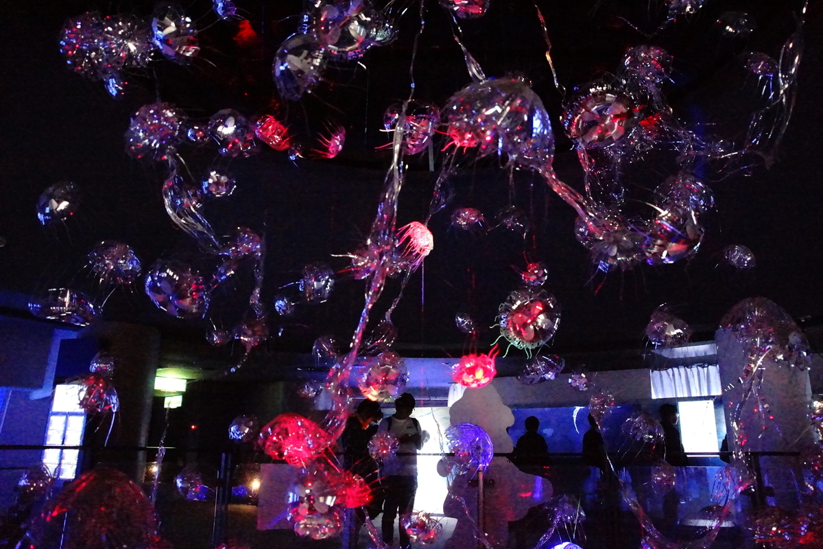 Vario-Sonnar T＊ DT 16-80mm F3.5-4.5 ZA（SAL1680Z）の作例2 - 清楚