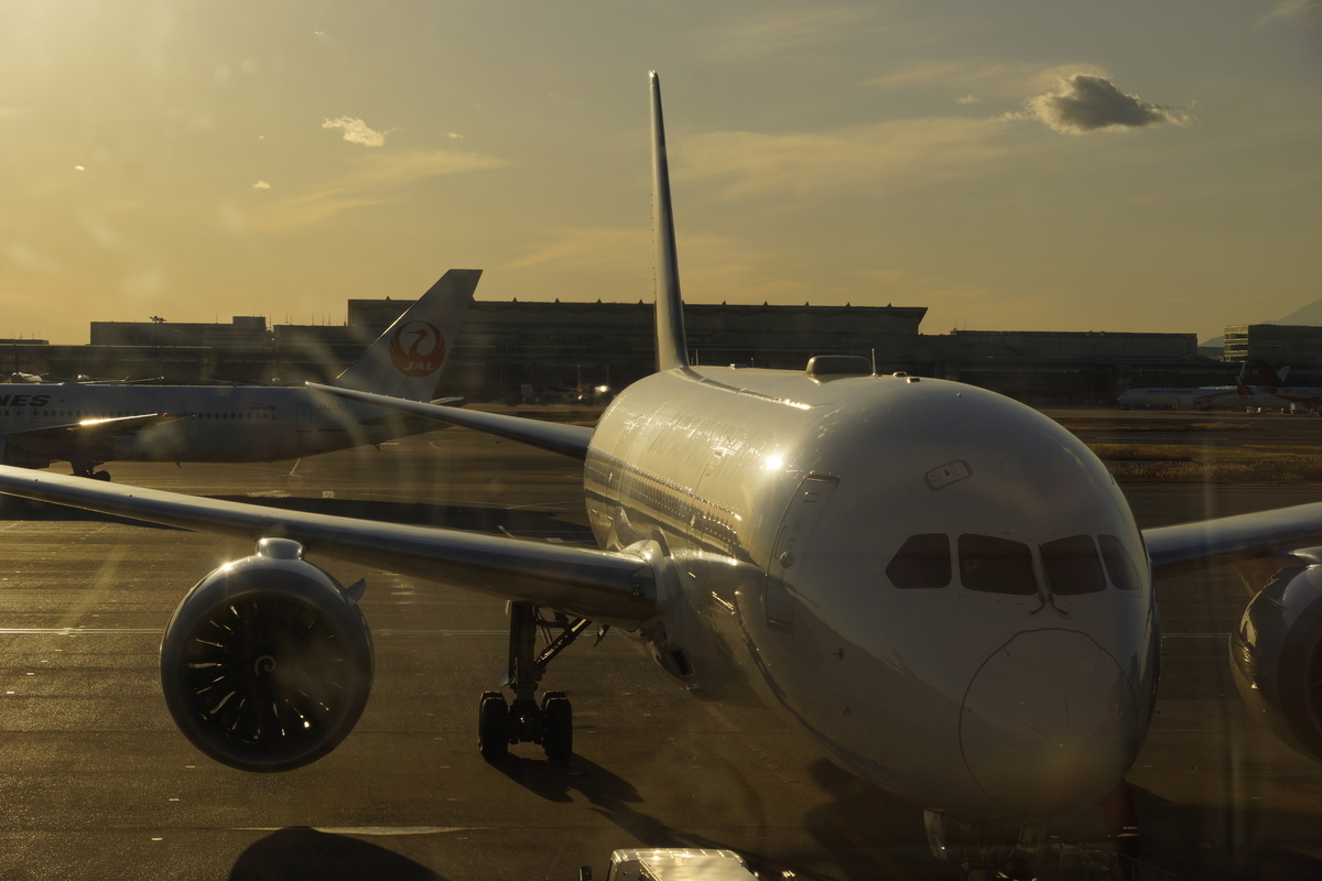 Vario-Sonnar T＊ DT 16-80mm F3.5-4.5 ZA（SAL1680Z）の作例2 - 清楚