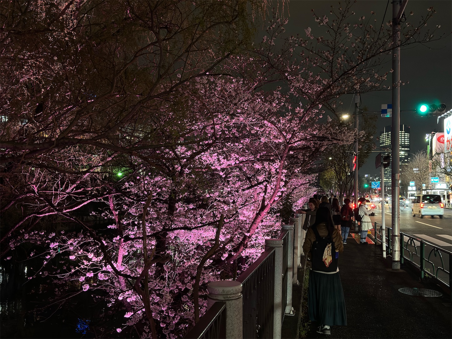 f:id:SeisoSakuya:20250215233148j:image