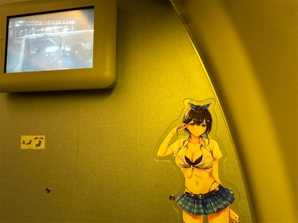 f:id:SeisoSakuya:20260212002302j:image