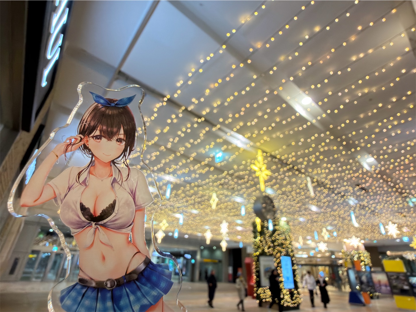 f:id:SeisoSakuya:20260212002733j:image