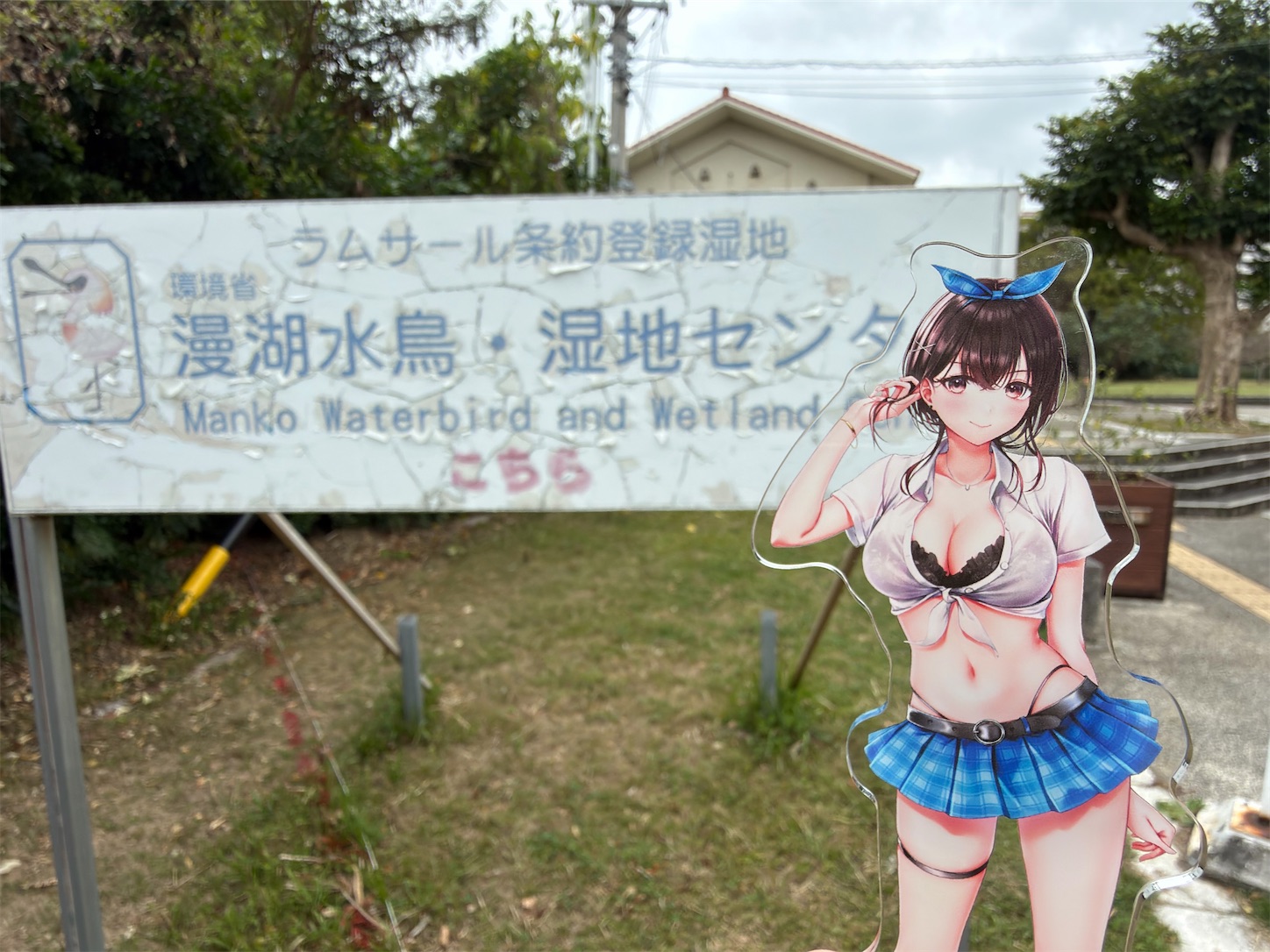 f:id:SeisoSakuya:20260322163050j:image