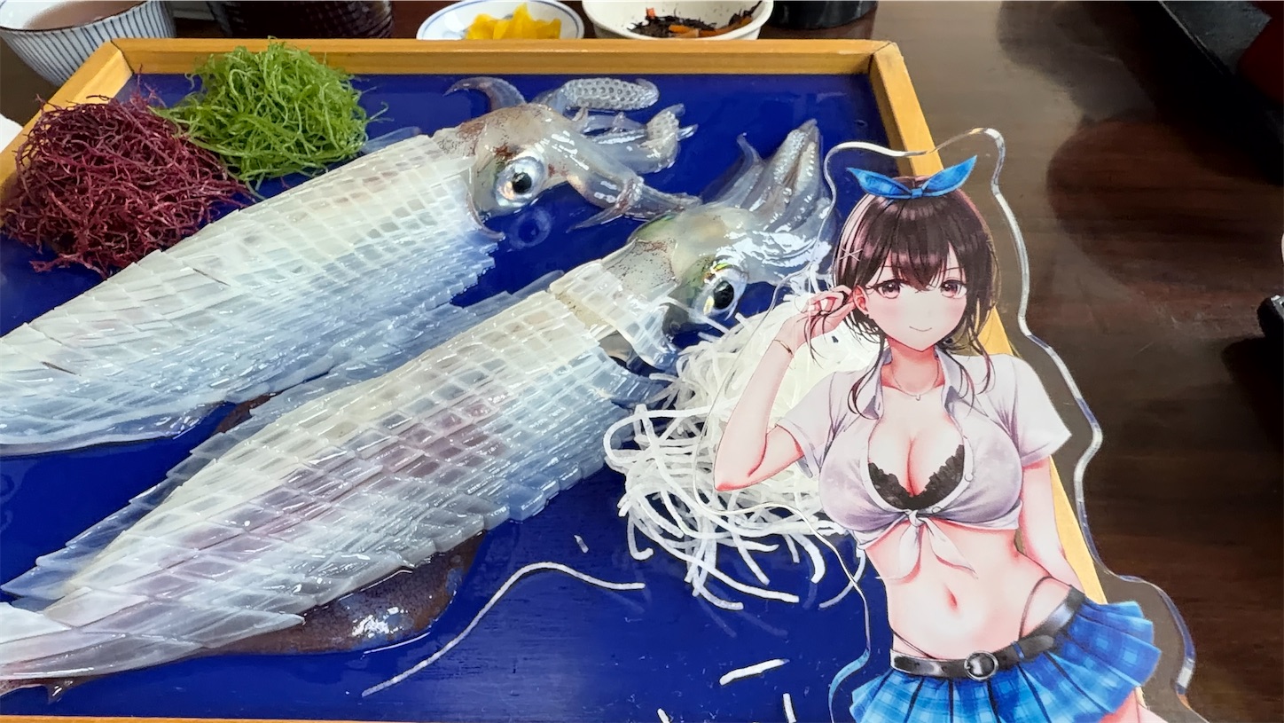 f:id:SeisoSakuya:20260628200250j:image