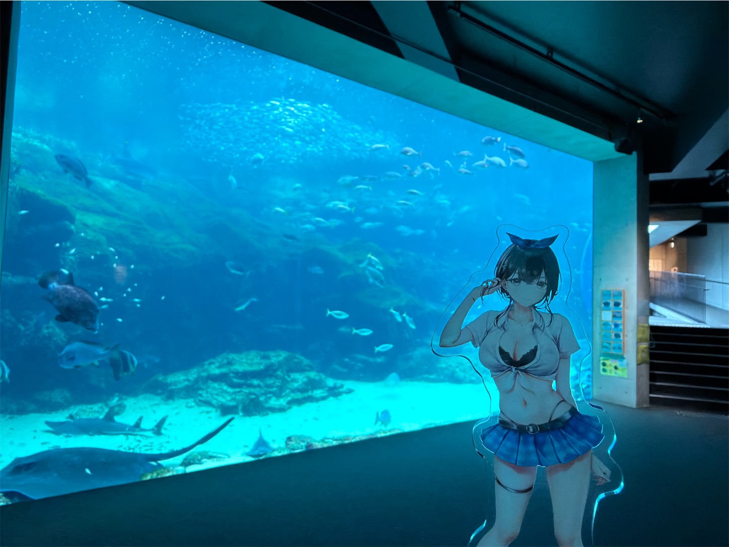 f:id:SeisoSakuya:20260628200418j:image