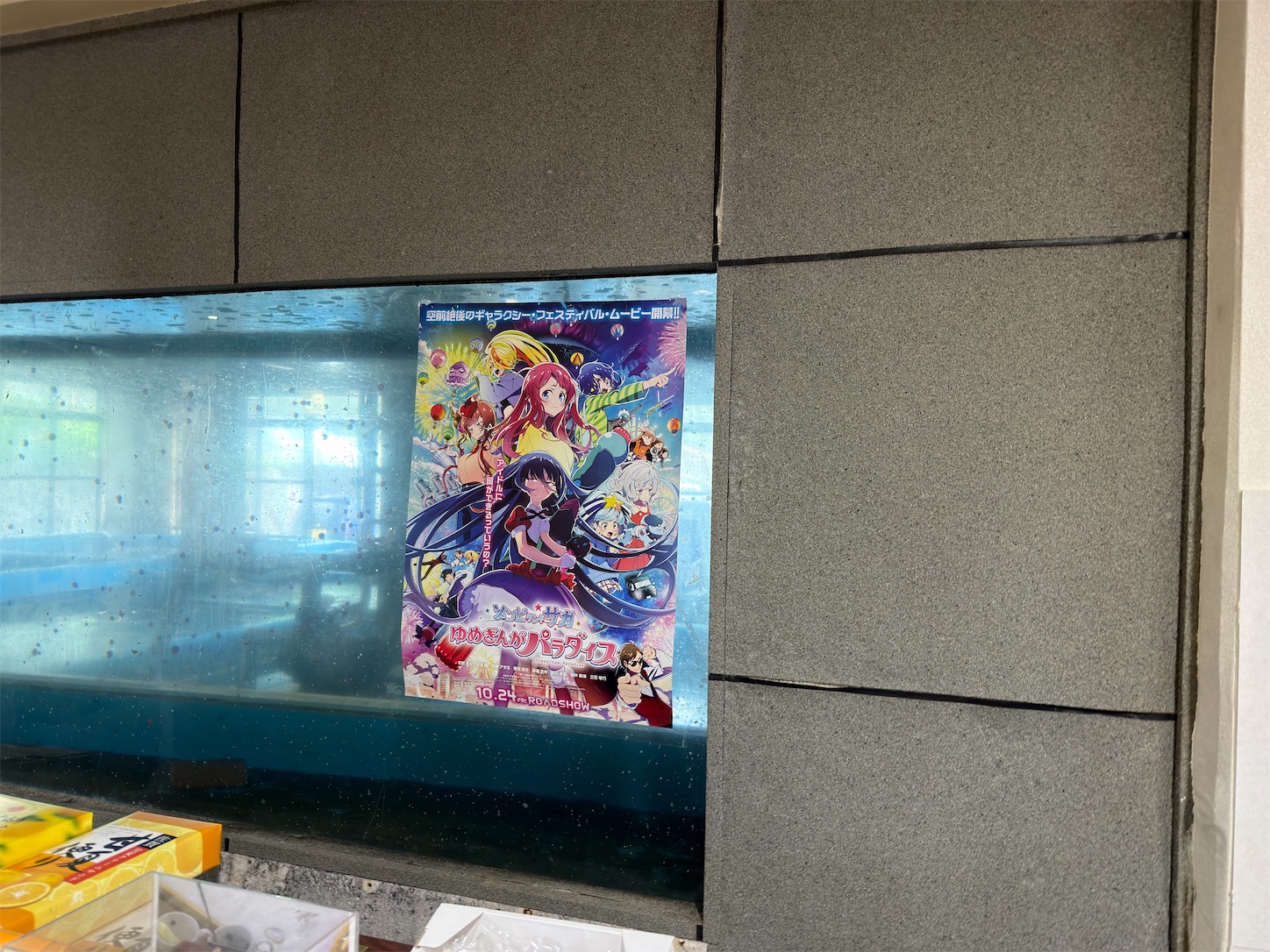 f:id:SeisoSakuya:20260628200442j:image