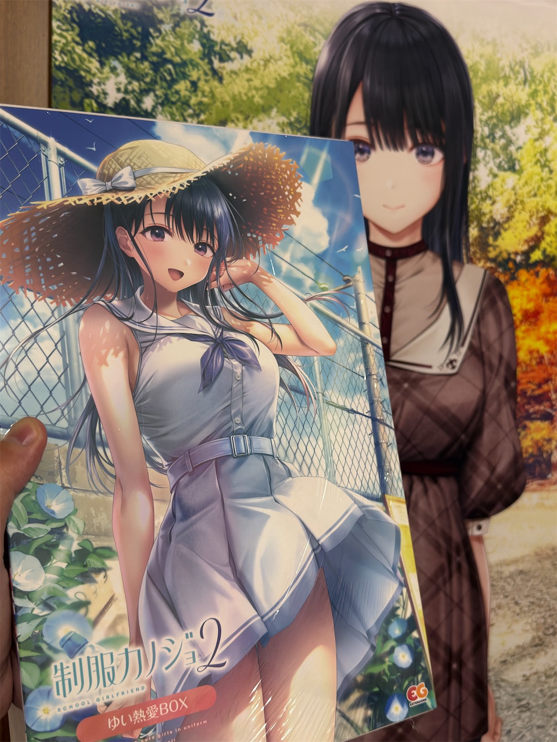 制服カノジョ2 ゆい熱愛BOXを購入しました - 清楚咲夜の日記
