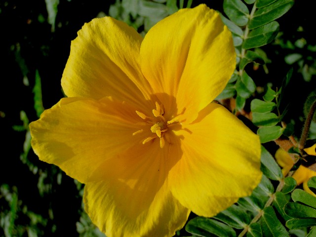 f:id:Seita75851833:20260520112825j:image