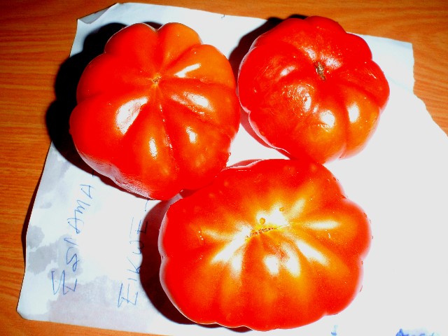 f:id:Seita75851833:20260522095647j:image