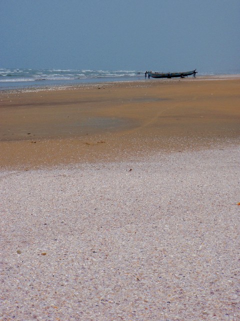 f:id:Seita75851833:20260522095833j:image