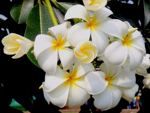f:id:Seita75851833:20260601114033j:image
