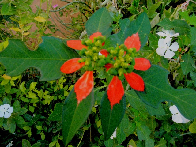 f:id:Seita75851833:20260601114135j:image
