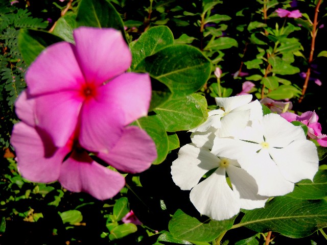 f:id:Seita75851833:20260601114154j:image