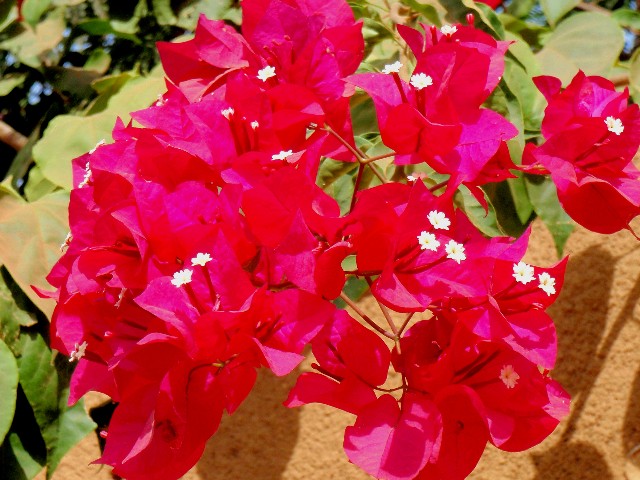 f:id:Seita75851833:20260601114209j:image