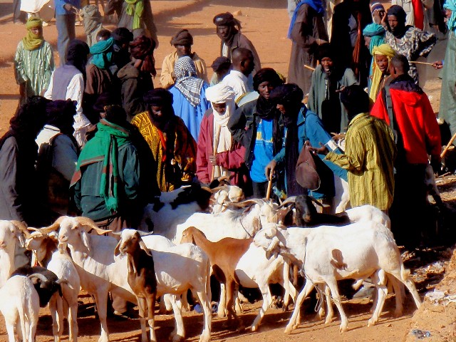 f:id:Seita75851833:20260615093408j:image