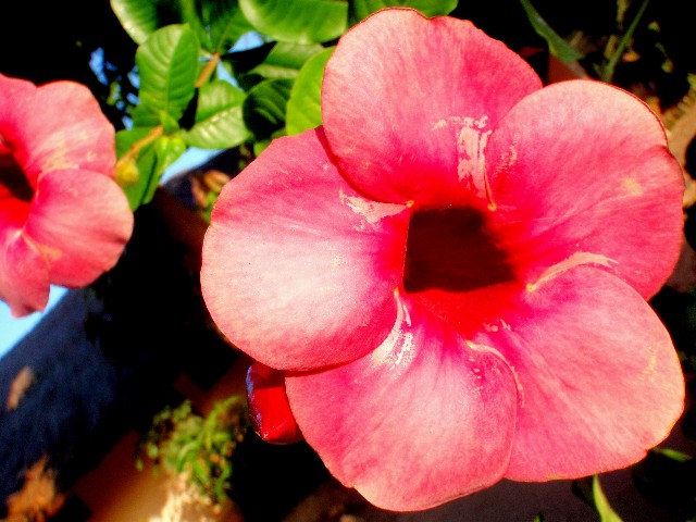f:id:Seita75851833:20260729114526j:image f:id:Seita75851833:20260729114526j:image