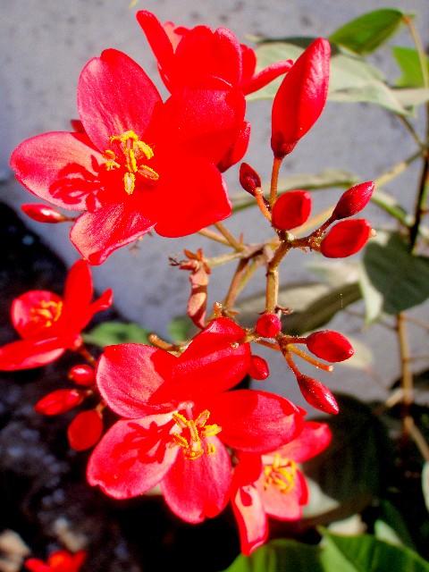 f:id:Seita75851833:20260804163739j:image f:id:Seita75851833:20260804163739j:image
