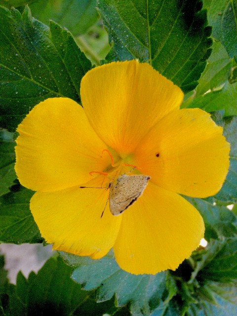 f:id:Seita75851833:20260804163805j:image f:id:Seita75851833:20260804163805j:image