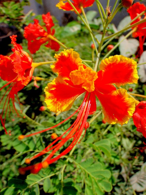 f:id:Seita75851833:20260804163822j:image f:id:Seita75851833:20260804163822j:image