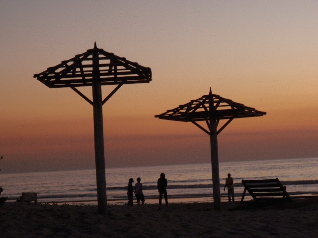 f:id:Seita75851833:20260805145956j:image f:id:Seita75851833:20260805145956j:image