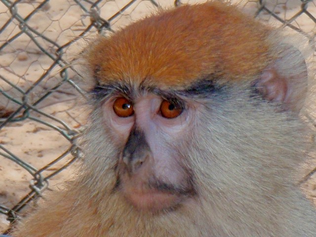 f:id:Seita75851833:20260811160628j:image f:id:Seita75851833:20260811160628j:image