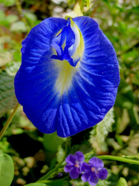 f:id:Seita75851833:20260820154104j:image f:id:Seita75851833:20260820154104j:image