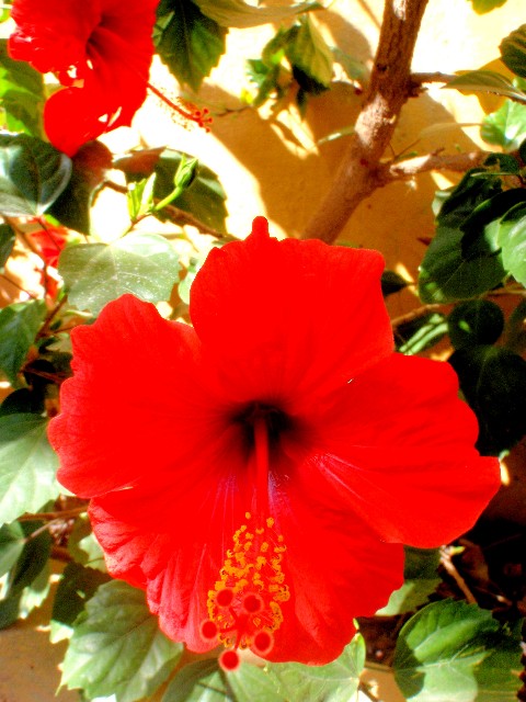 f:id:Seita75851833:20260905155856j:image